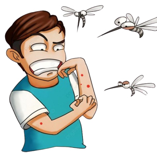 Mosquitoes