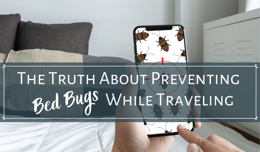 Preventing-Bed-Bugs